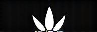 Logo de LumiVerte Energies en version monochrome.